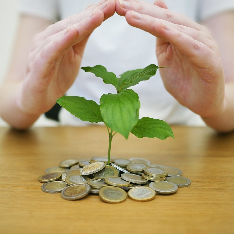 Gestion de patrimoine Nairod Invest